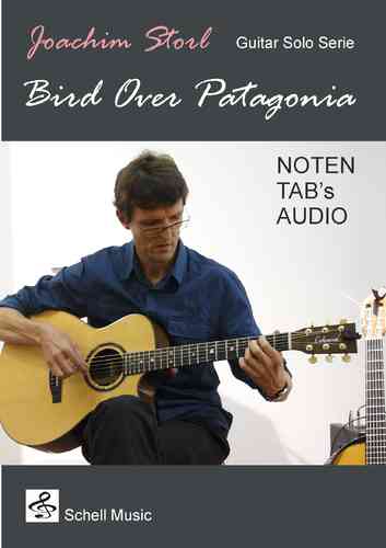 Guitar Solo! Bird Over Patagonia